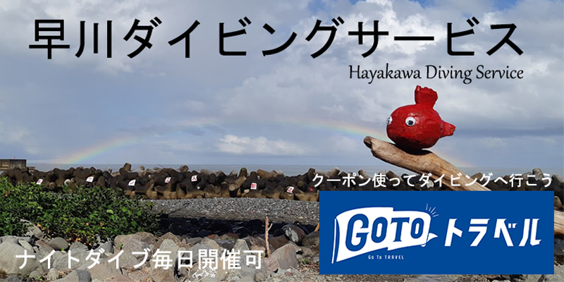 早川ダイビングサービス